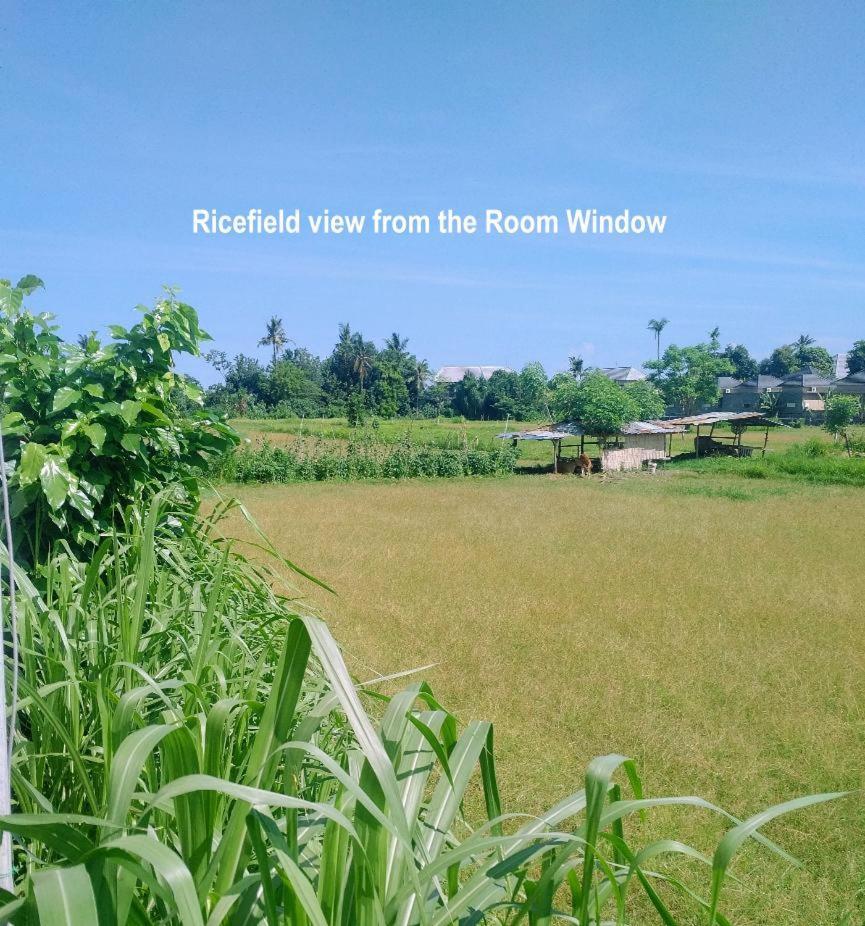 Bali Paradise Hotel Boutique Resort Lovina  Room photo